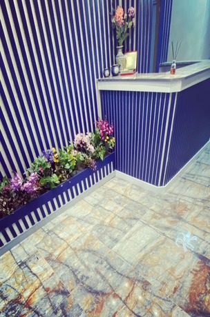Imagen de los interiores del BALPETEK HOTEL. Foto 17