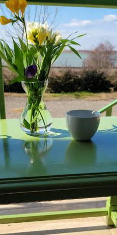 Imagen general del BC Aprilia. Foto 7