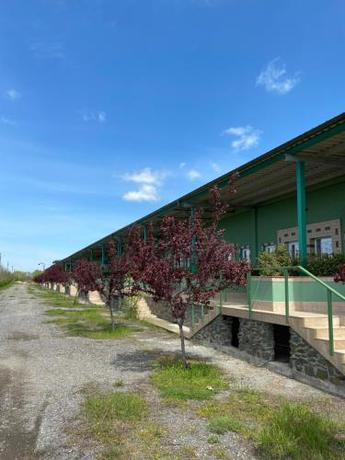 Imagen general del BC Aprilia. Foto 10