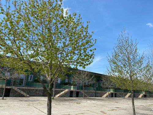 Imagen general del BC Aprilia. Foto 11