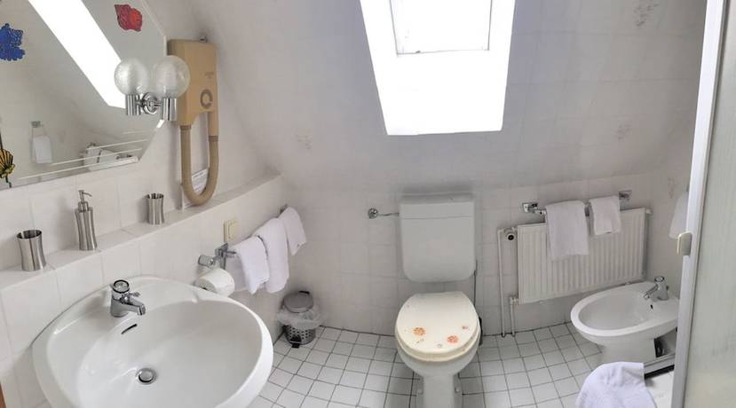 Imagen de la habitación del BLACKCOMs Erika. Foto 10
