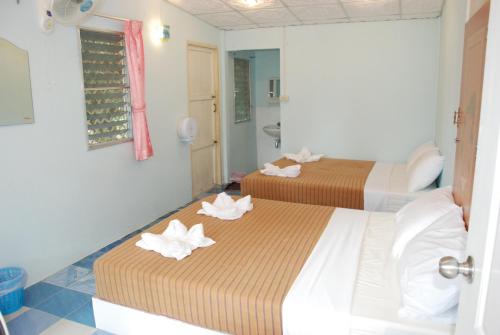 Imagen general del ฺBaan Rai Ing Doi. Foto 18