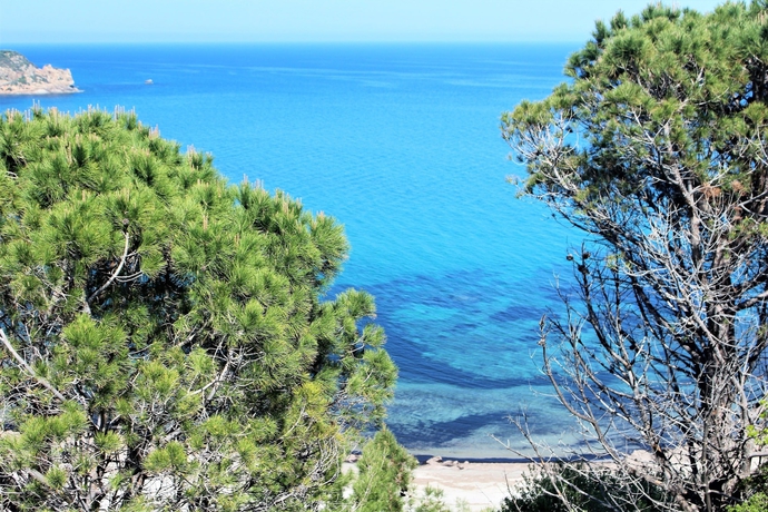 Imagen de los exteriores del Babai Village - Abba Urci. Foto 9