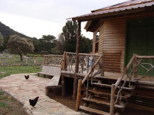 Imagen general del Babakamp Eco Ranch & Retreat. Foto 1