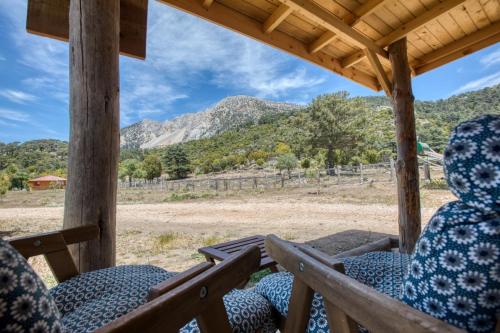 Imagen de la habitación del Babakamp Eco Ranch & Retreat. Foto 14