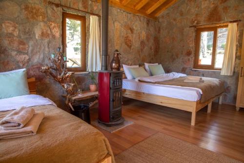 Imagen general del Babakamp Eco Ranch & Retreat. Foto 5