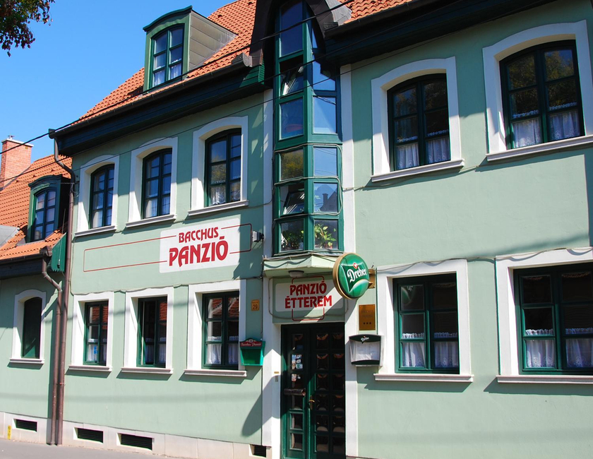 Imagen general del Bacchus, Eger. Foto 1