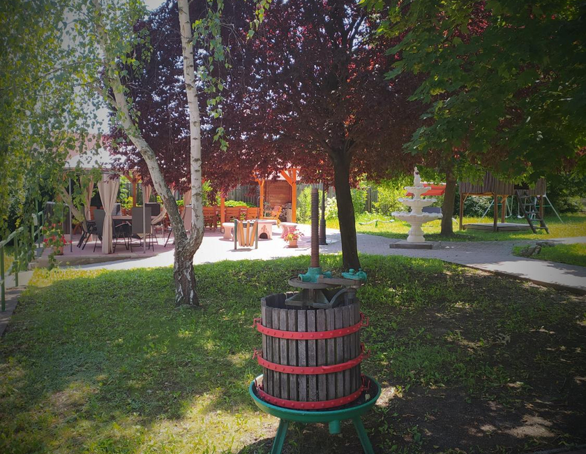 Imagen general del Bacchus, Eger. Foto 15