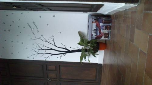 Imagen general del Backpacker Al-katre. Foto 8