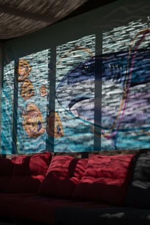 Imagen general del Backpackers Home. Foto 2