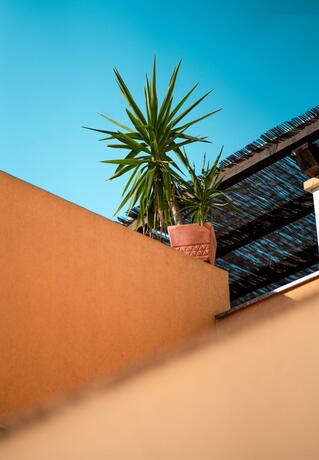 Imagen general del Backpackers Home. Foto 27