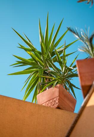 Imagen general del Backpackers Home. Foto 35
