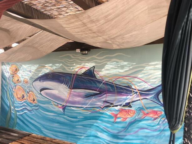 Imagen general del Backpackers Home. Foto 37
