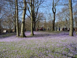 Imagen general del Bad F&uuml;ssing Appartement. Foto 3