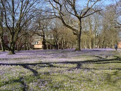 Imagen general del Bad F&uuml;ssing Appartement. Foto 4