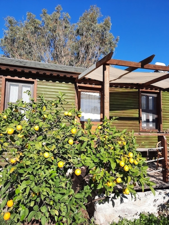 Imagen de la habitación del Bahar Bahce Datca. Foto 15