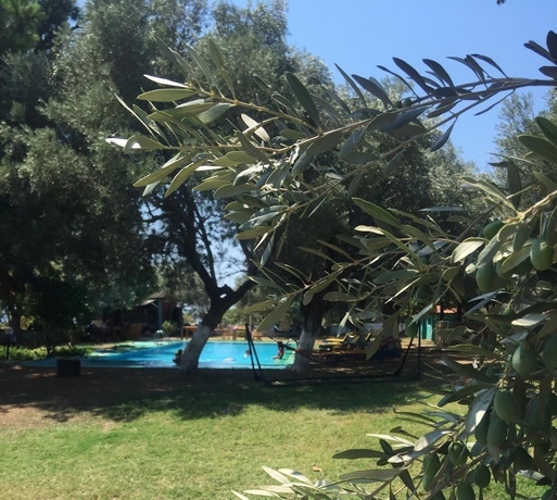 Imagen de la piscina del Bahar Bahce Datca. Foto 18