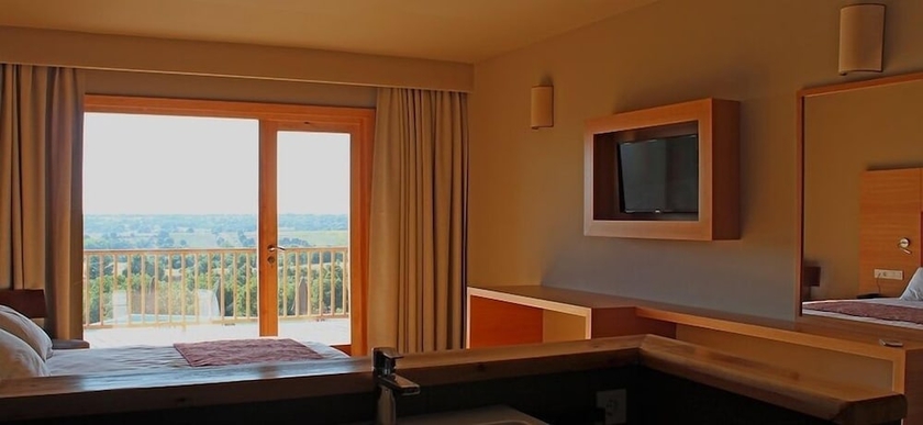 Imagen de la habitación del Bakucha Vineyard Hotel ve Spa. Foto 8