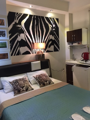 Imagen de la habitación del Balance Hotel Taksim. Foto 16