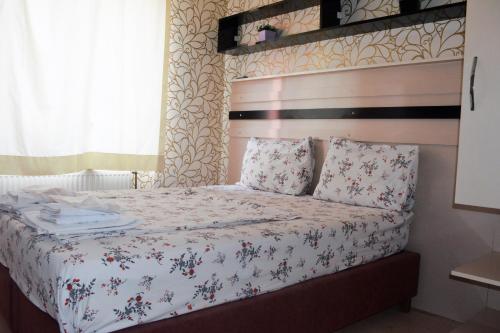 Imagen general del Balkan Hotel. Foto 6