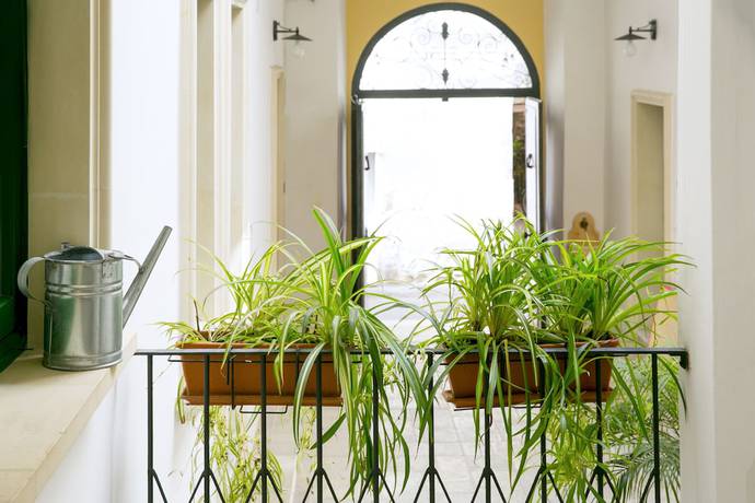 Imagen de los interiores del B&B Dimora San Vincenzo. Foto 20