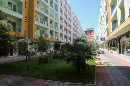 Imagen general del Banesa Kosovare - Shëngjin. Foto 4