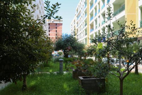 Imagen general del Banesa Kosovare - Shëngjin. Foto 15