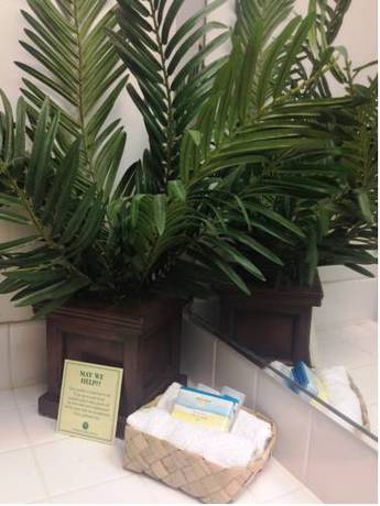 Imagen de la habitación del Banyan Harbor Resort. Foto 14