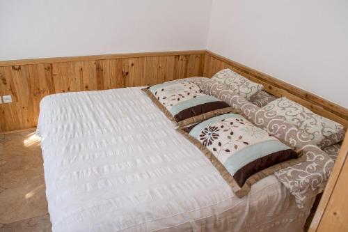 Imagen general del Baron Munchausen Guest House. Foto 2