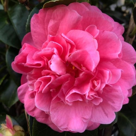 Imagen general del Barrika Surf Camp. Foto 4