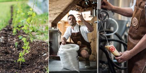 Imagen de la habitación del Basekamp. Foto 7