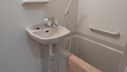 Imagen general del Basic Hotel Chichibu ベーシックホテル秩父. Foto 5