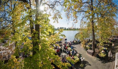 Imagen general del Baumberger Rheinterrassen. Foto 3