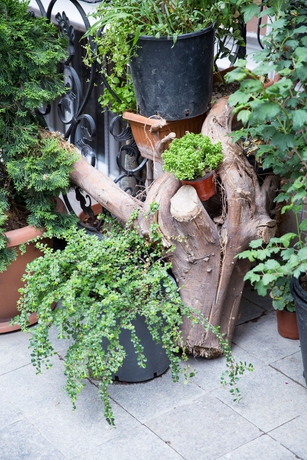 Imagen general del Bayer Hotel. Foto 2