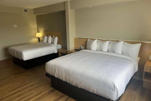 Imagen de la habitación del Baymont by Wyndham West Edmonton. Foto 6