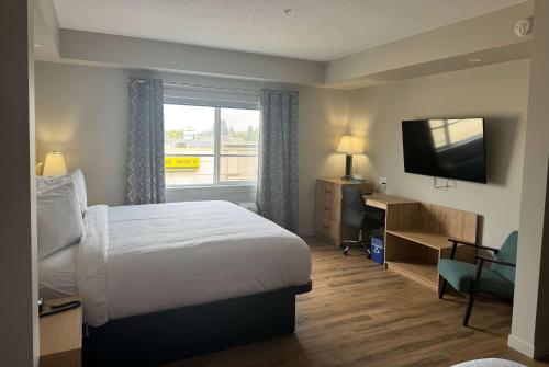 Imagen de la habitación del Baymont by Wyndham West Edmonton. Foto 7