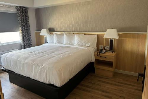 Imagen de la habitación del Baymont by Wyndham West Edmonton. Foto 19