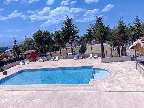 Imagen general del Bayramoğlu Suite. Foto 13