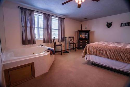 Imagen de la habitación del Bear Camp By The Night. Foto 4