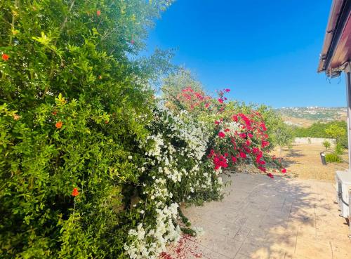 Imagen general del Beautiful Home. Foto 6