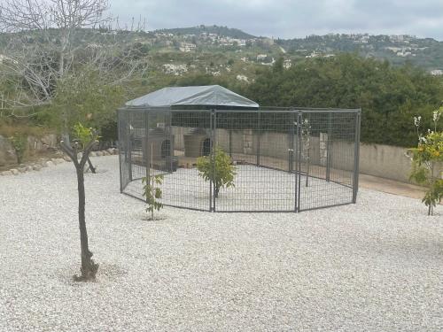 Imagen general del Beautiful Home. Foto 8