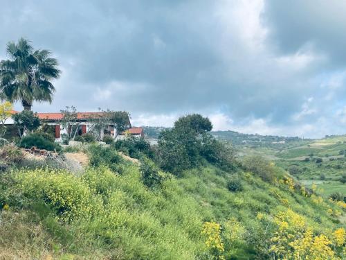 Imagen general del Beautiful Home. Foto 12