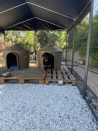 Imagen general del Beautiful Home. Foto 13