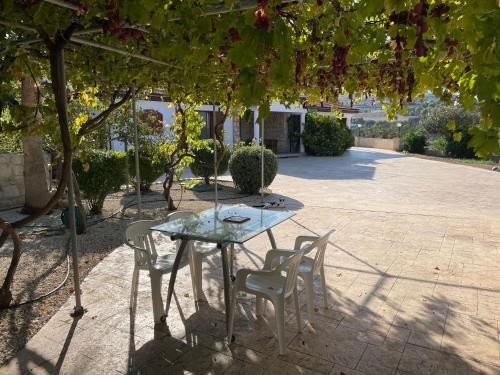 Imagen general del Beautiful Home. Foto 15