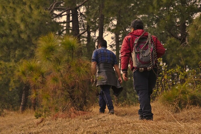 Imagen general del Beautiful Resort Stay In Shimla. Foto 3