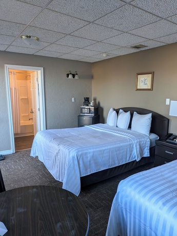 Imagen de la habitación del Beaver Motel. Foto 8