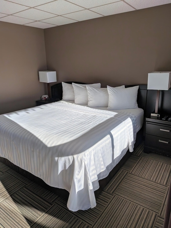 Imagen de la habitación del Beaver Motel. Foto 12