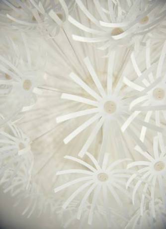 Imagen de la habitación del Bed En Brood - Veere. Foto 8