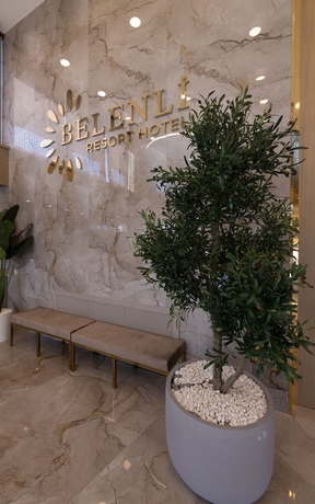 Imagen de la piscina del Belenli Resort Hotel. Foto 19