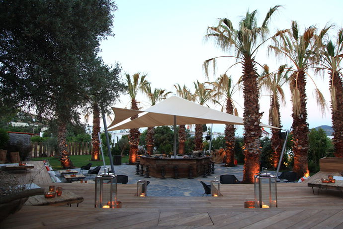 Imagen del bar/restaurante del Bella Sombra Hotel. Foto 6
